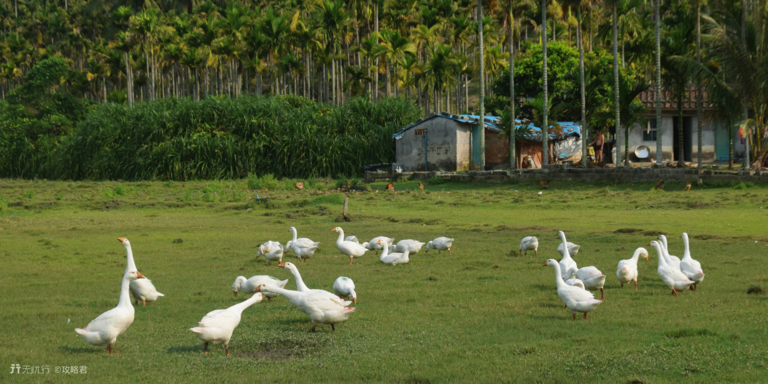 夏天来了一定要来一场草原之旅,这个夏天让我们玩转大草原