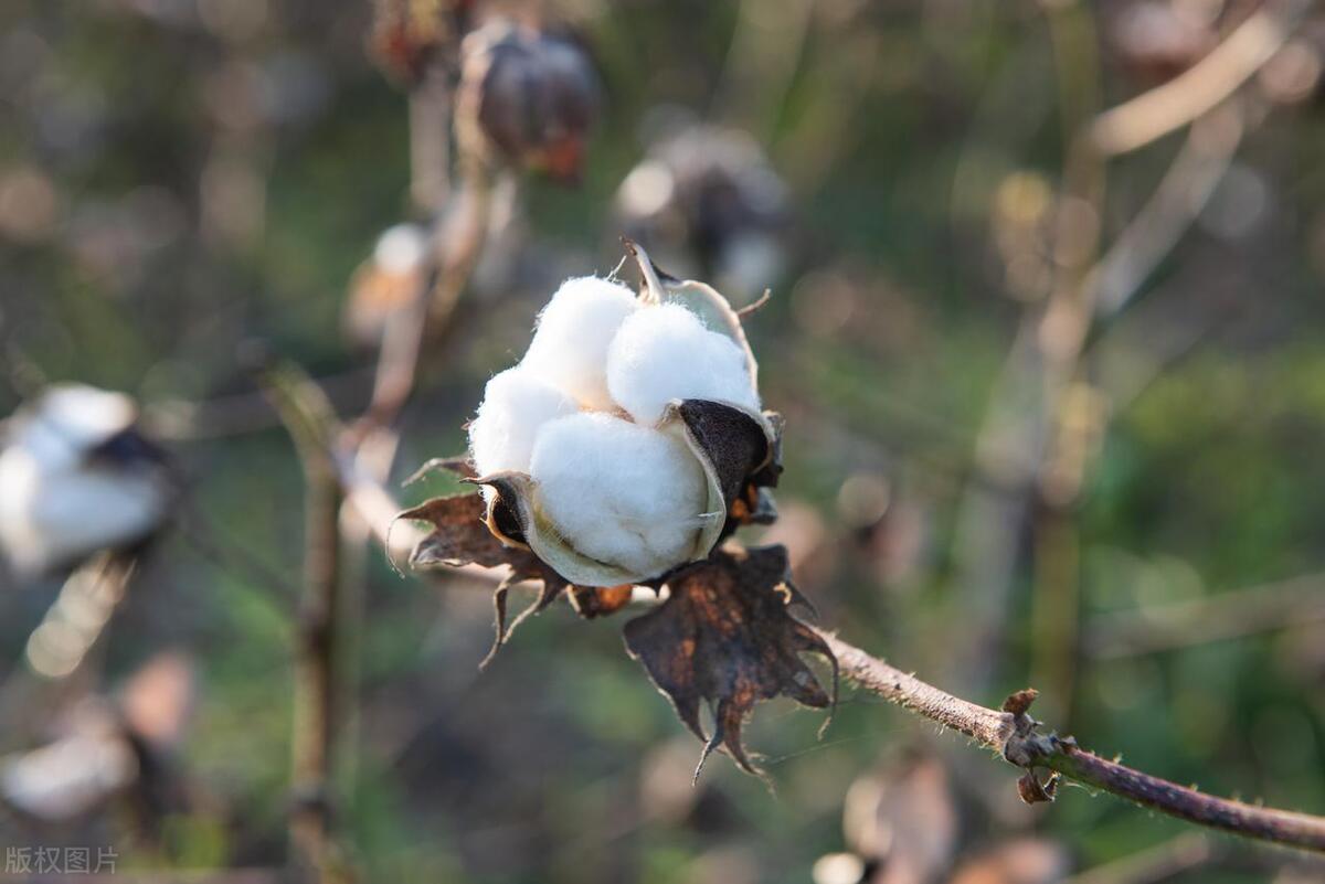 三个人赚钱的故事,三个赚钱的经典案例