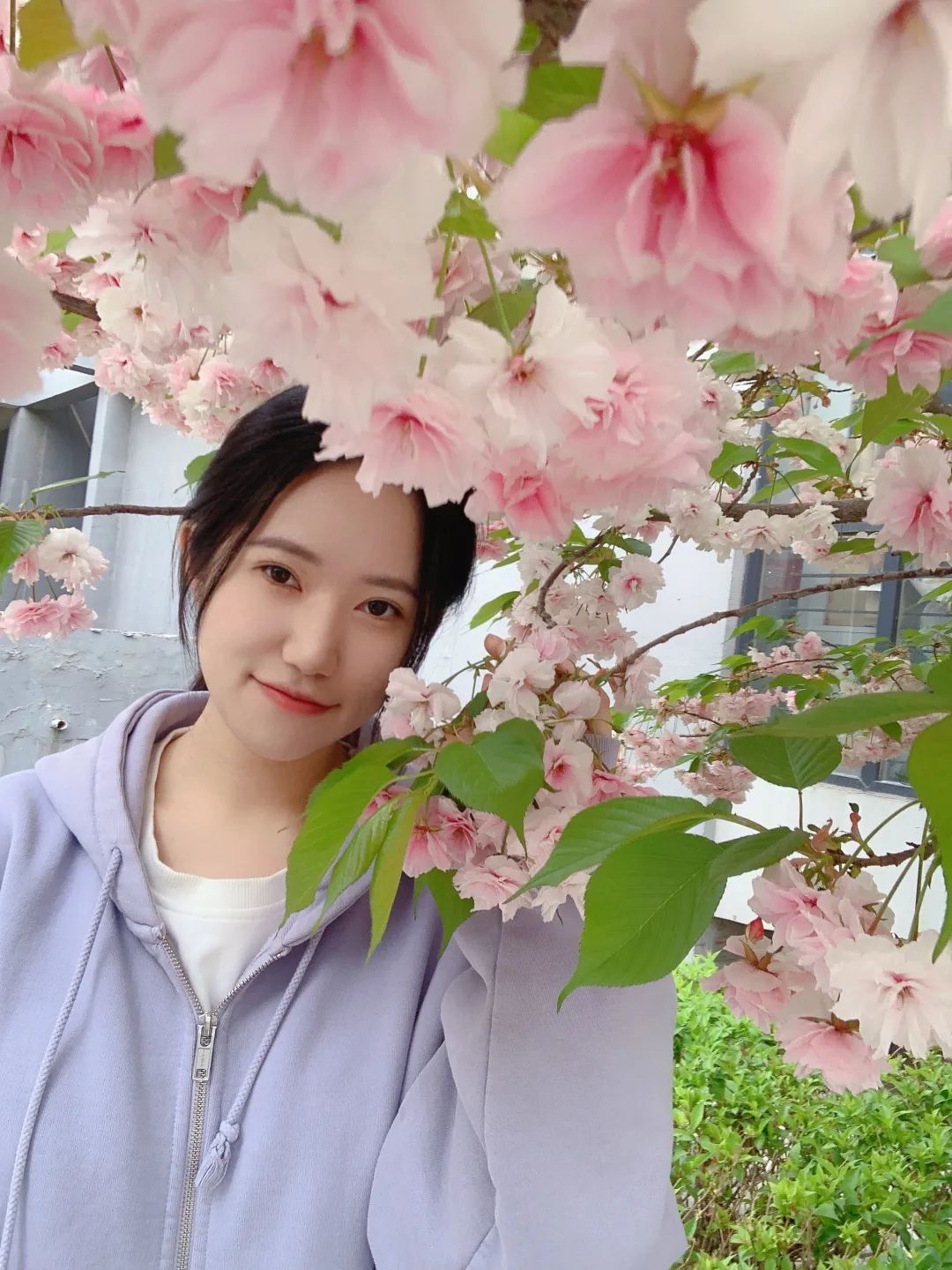 高校寝室风采展,大学生班级风采展示视频30秒