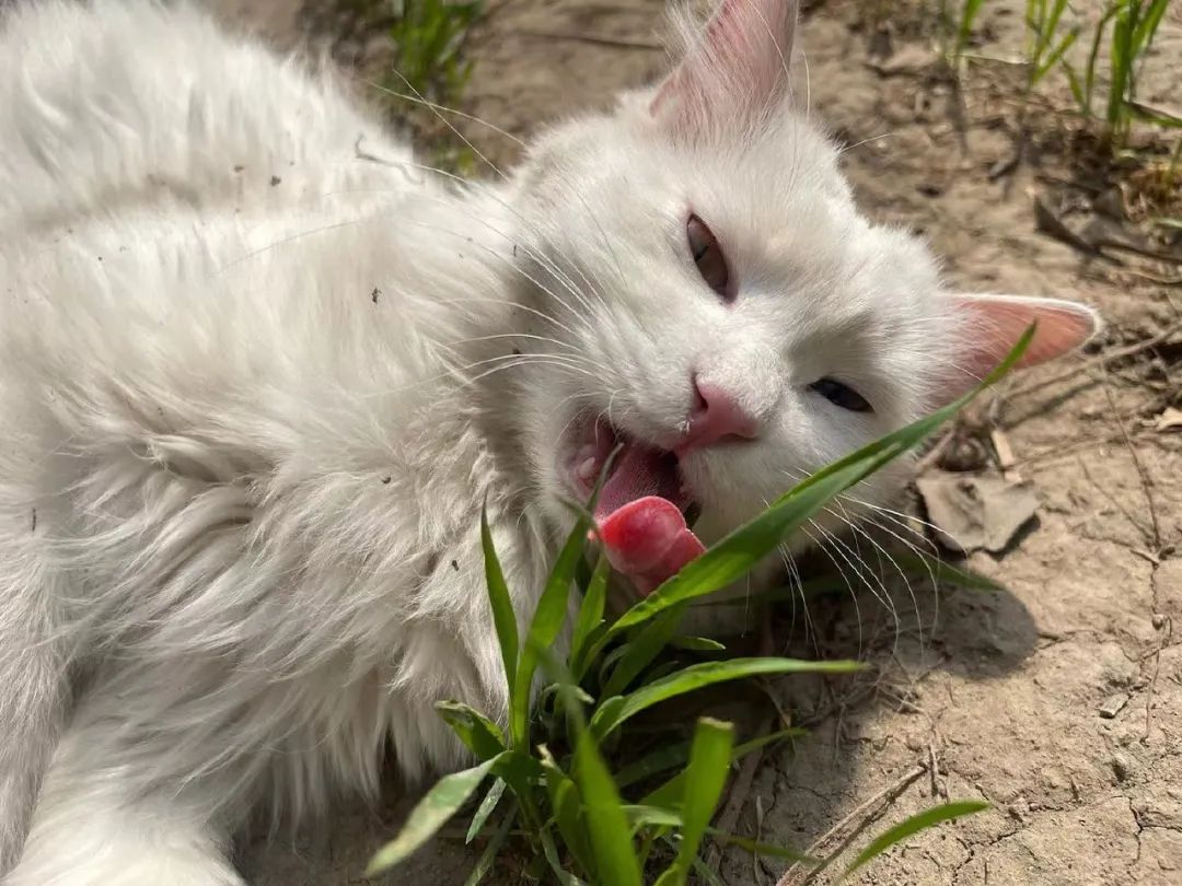 赵明明：上班摸鱼，是我的梦想!