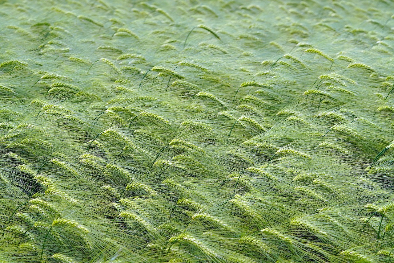 删掉好友和没发朋友圈的区别,被不发朋友圈的人删了后会怎么样