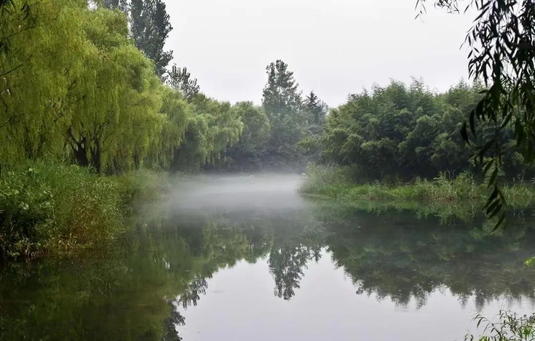 济宁五一假期玩什么,这个五一去哪玩济宁