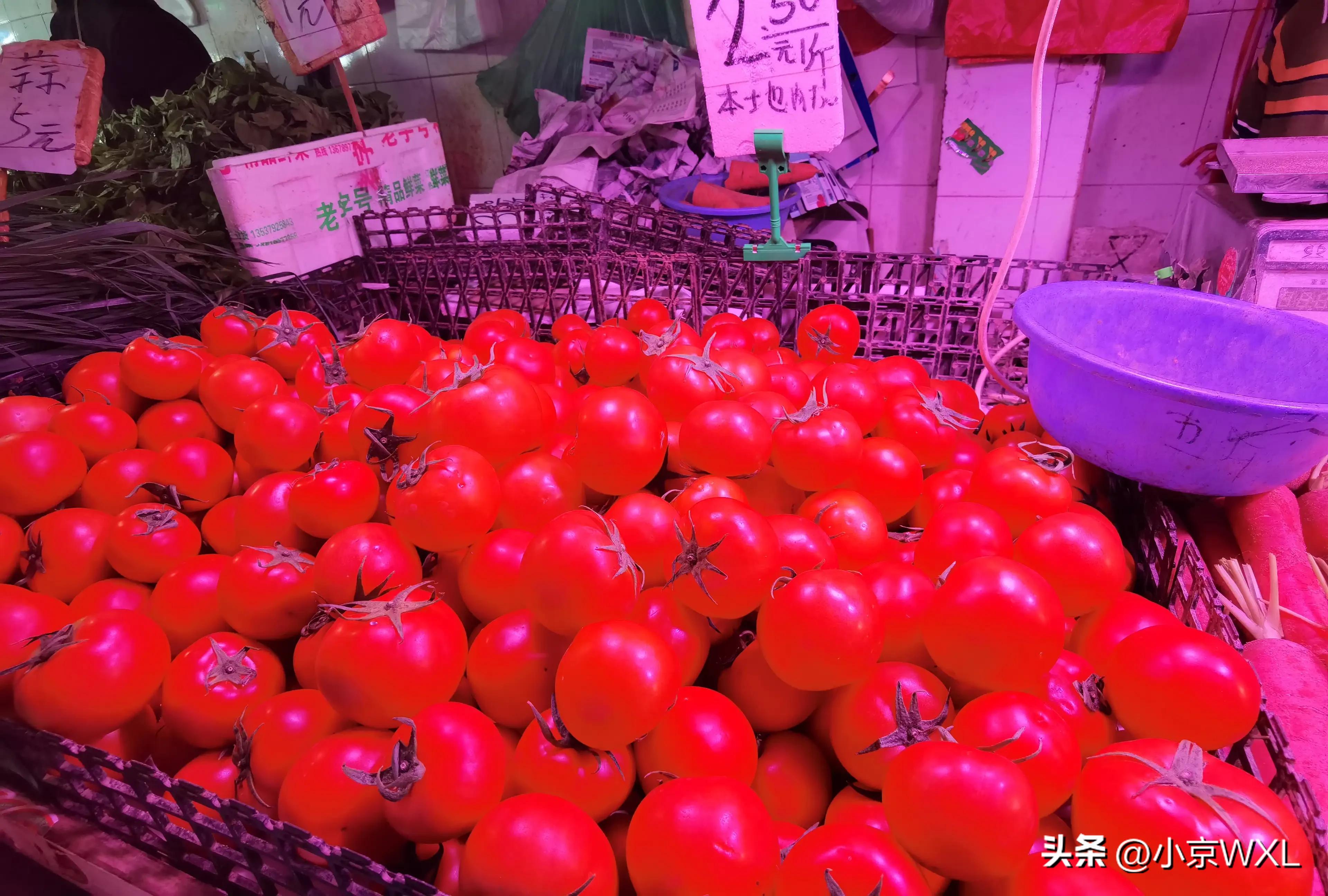 广州沙园市场地址,沙园市场购物攻略