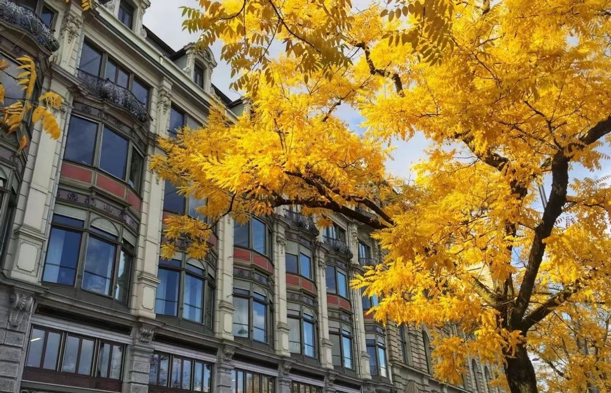 注册德国公司的好处,为什么有人注册几个公司