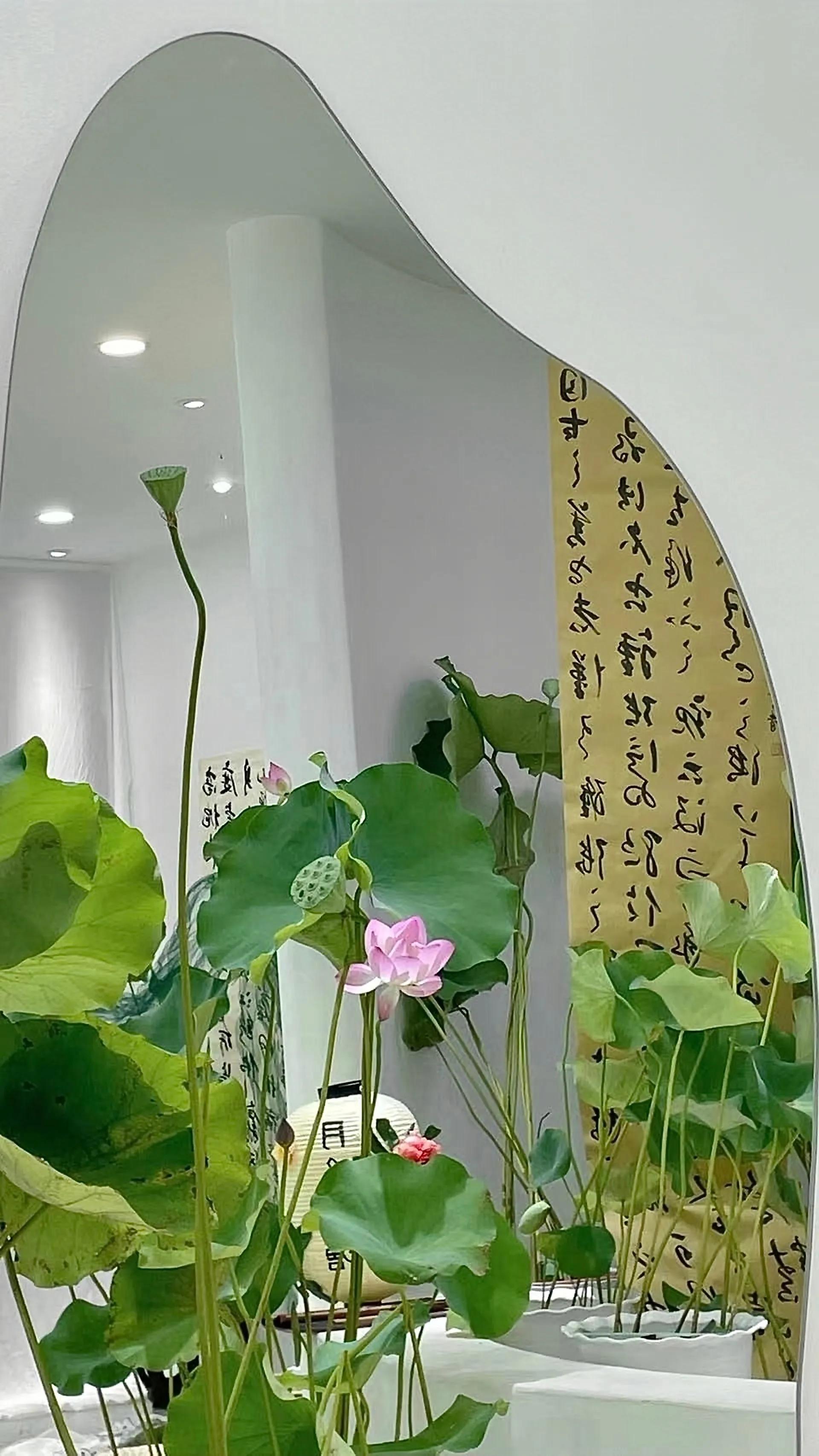 荷花荷叶壁纸图片大全,荷叶手机壁纸高清图片