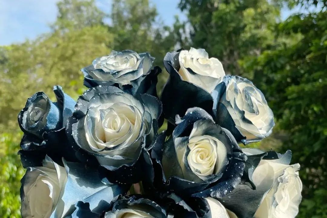 鲜花在水里能养几天会死,新加坡盆栽花卉怎么养