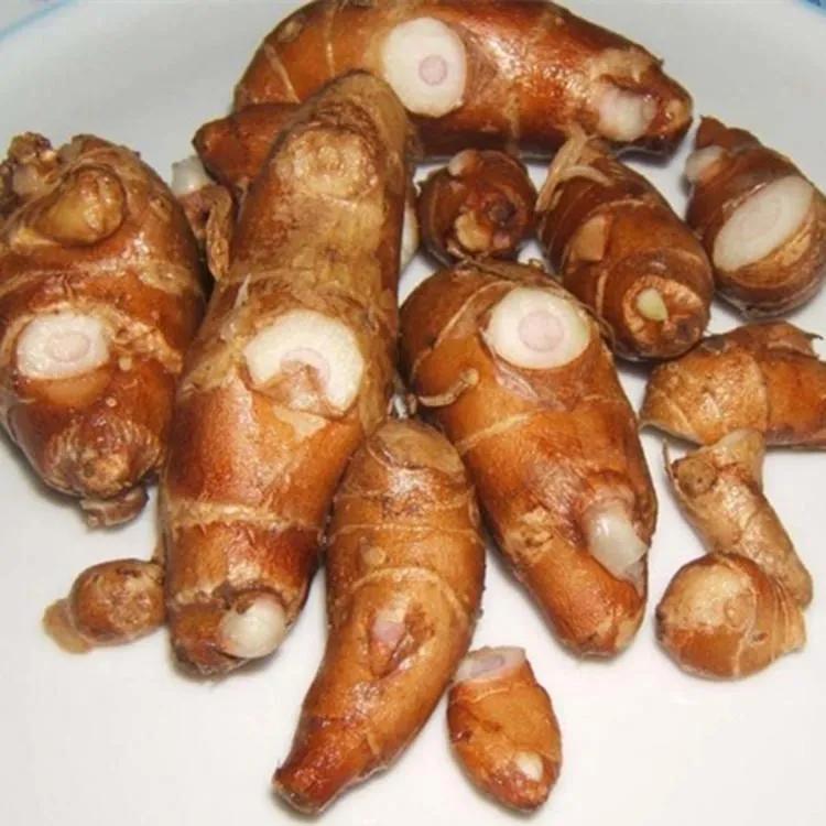 沙姜香料配方大全,沙姜的香料配方