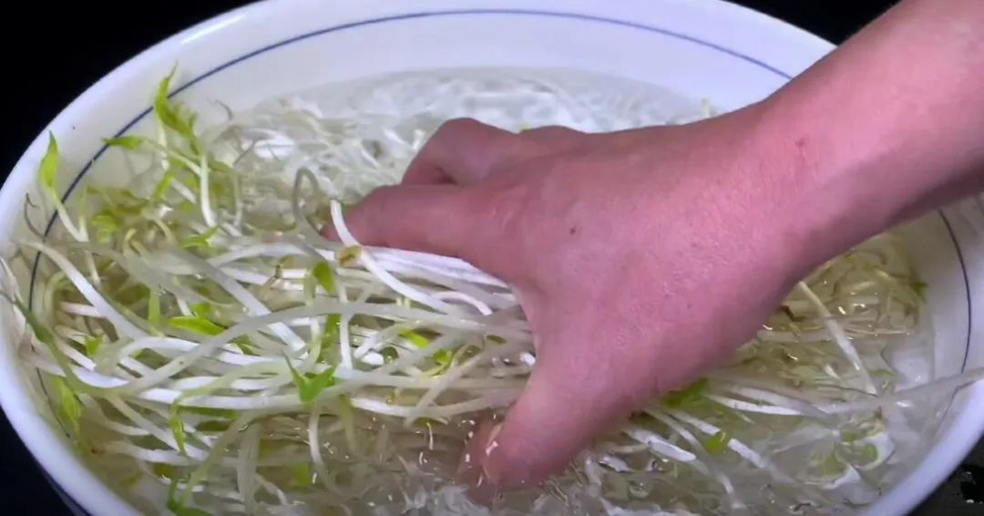 祛湿气的下饭菜,湿气太重吃最好的菜是什么