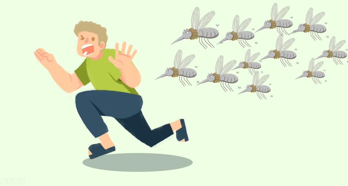 蚊子为啥不爱咬ab血型人,蚊子为什么爱叮你跟血型有关吗