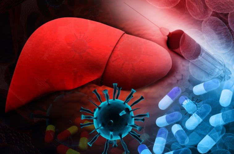 转氨酶升高代表什么？如何才能降低转氨酶？医生说出了答案