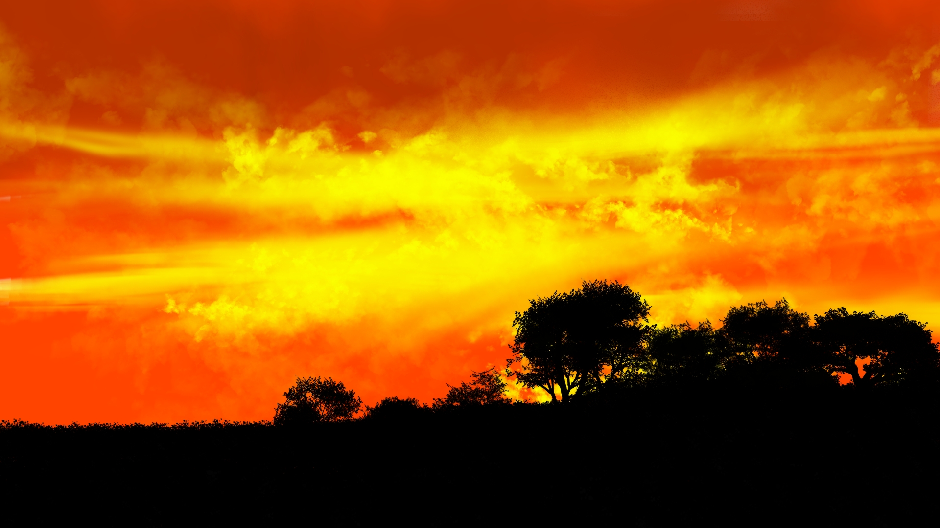 爱情最好的样子是什么样子,爱情最好的样子