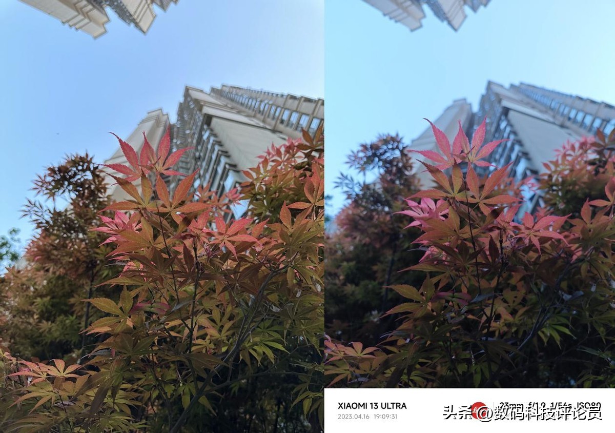 超微距镜头小米13ultra,超越小米13ultra影像