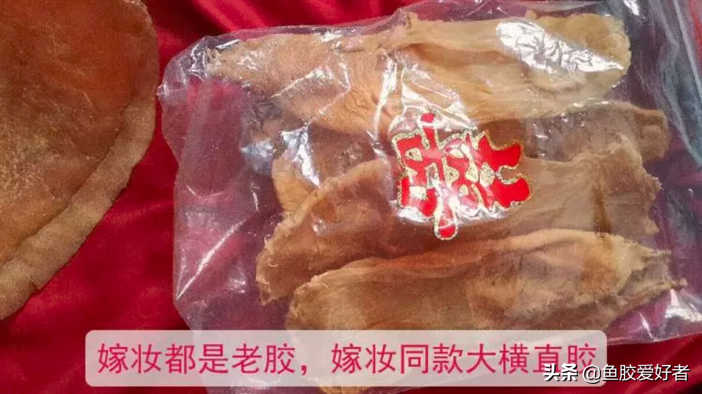 白花胶和赤嘴胶哪个好,白花胶和赤嘴胶比较