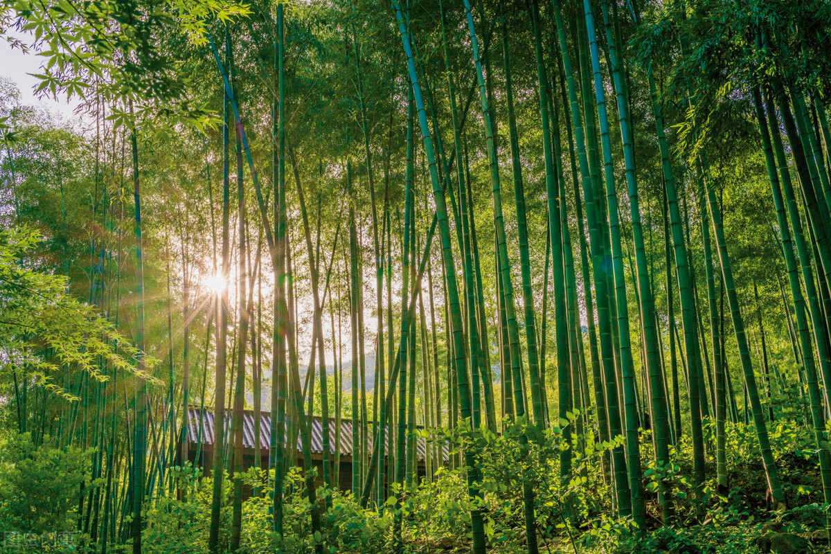 安静常州,常州以前的城中城