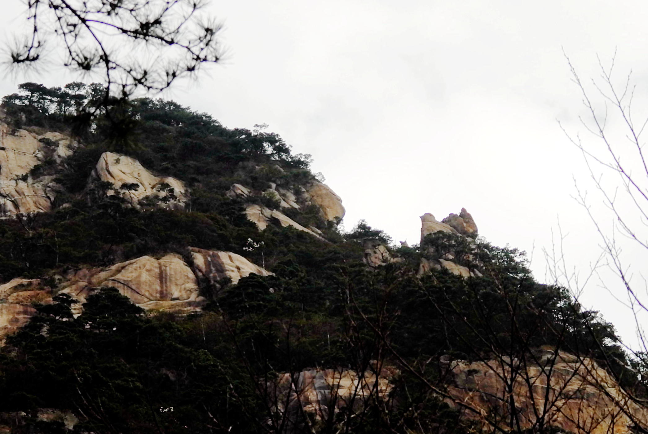 黄山慈光阁到玉屏楼步行多久,爬黄山从慈光阁开始的攻略