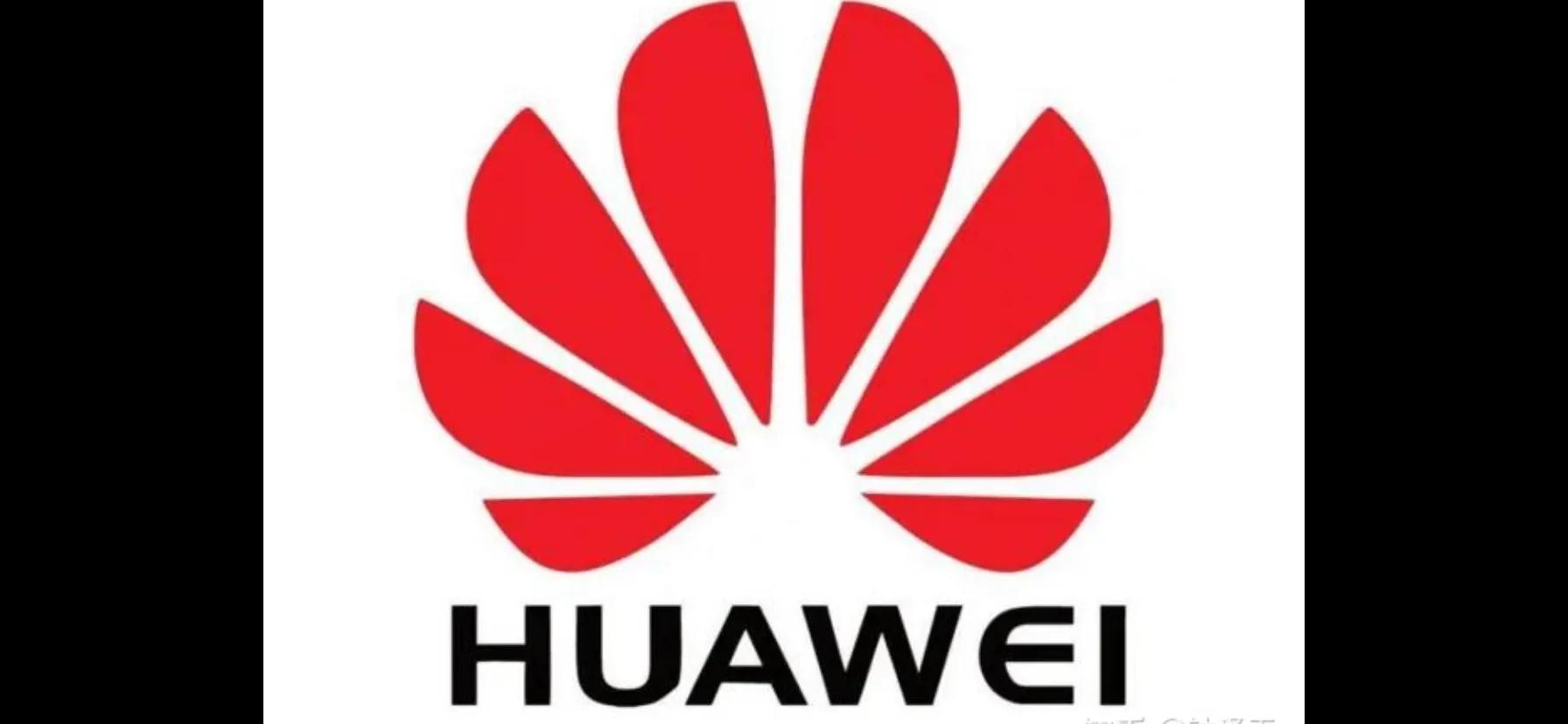 华为为什么叫华为?看了任正非说出的真相！