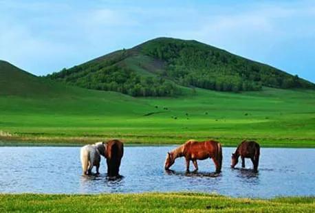 呼伦贝尔大草原高清素材,分享内蒙古草原天空照