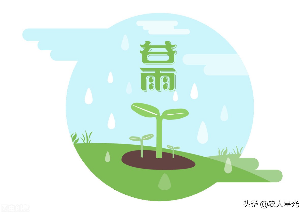 谷雨下雨预示着天气怎么样,谷雨节气相关农谚