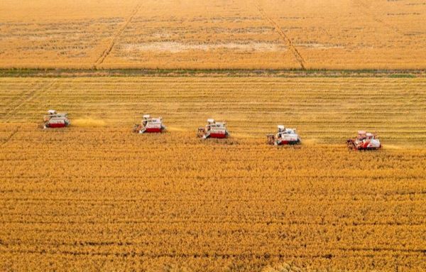 1965年江苏25岁小伙隐居深山，45年后获救时问：毛主席身体还好吗