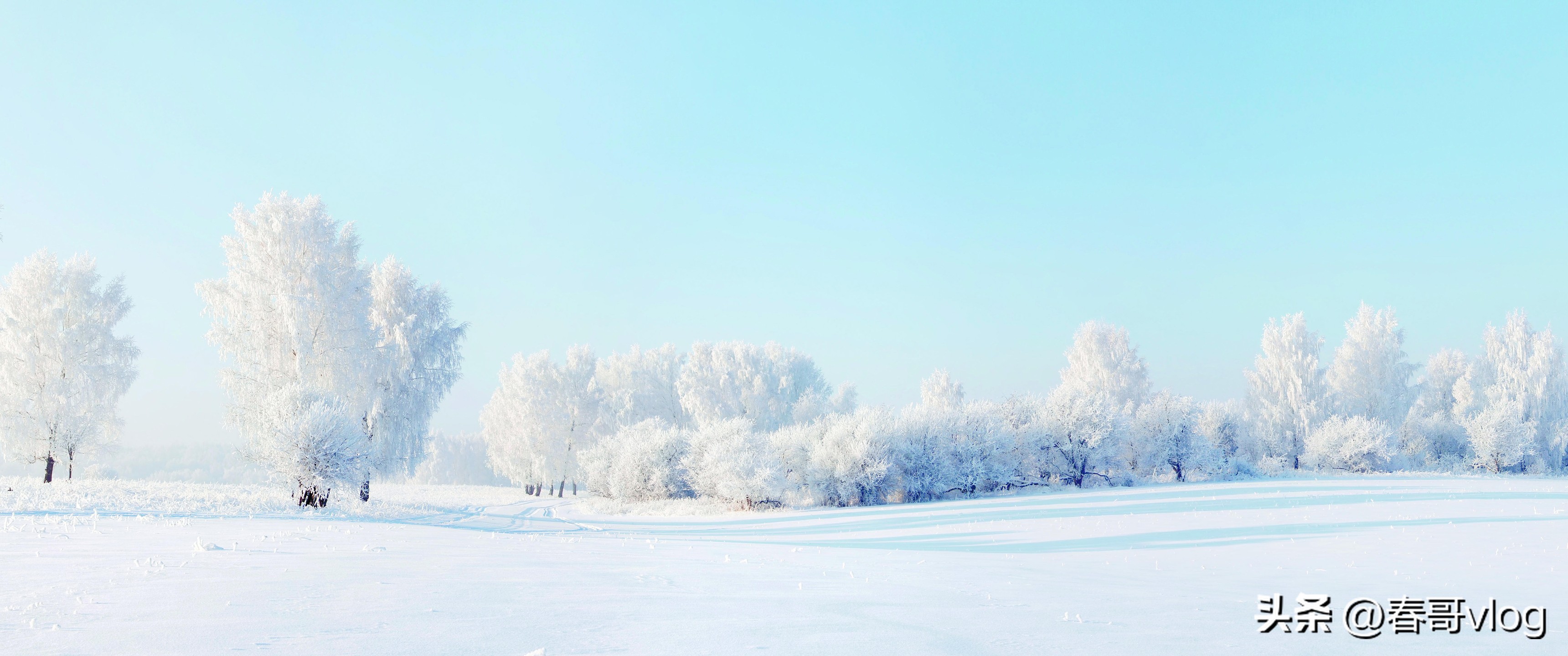 西藏风景高清手机壁纸无水印,4k超清壁纸无水印全面屏风景