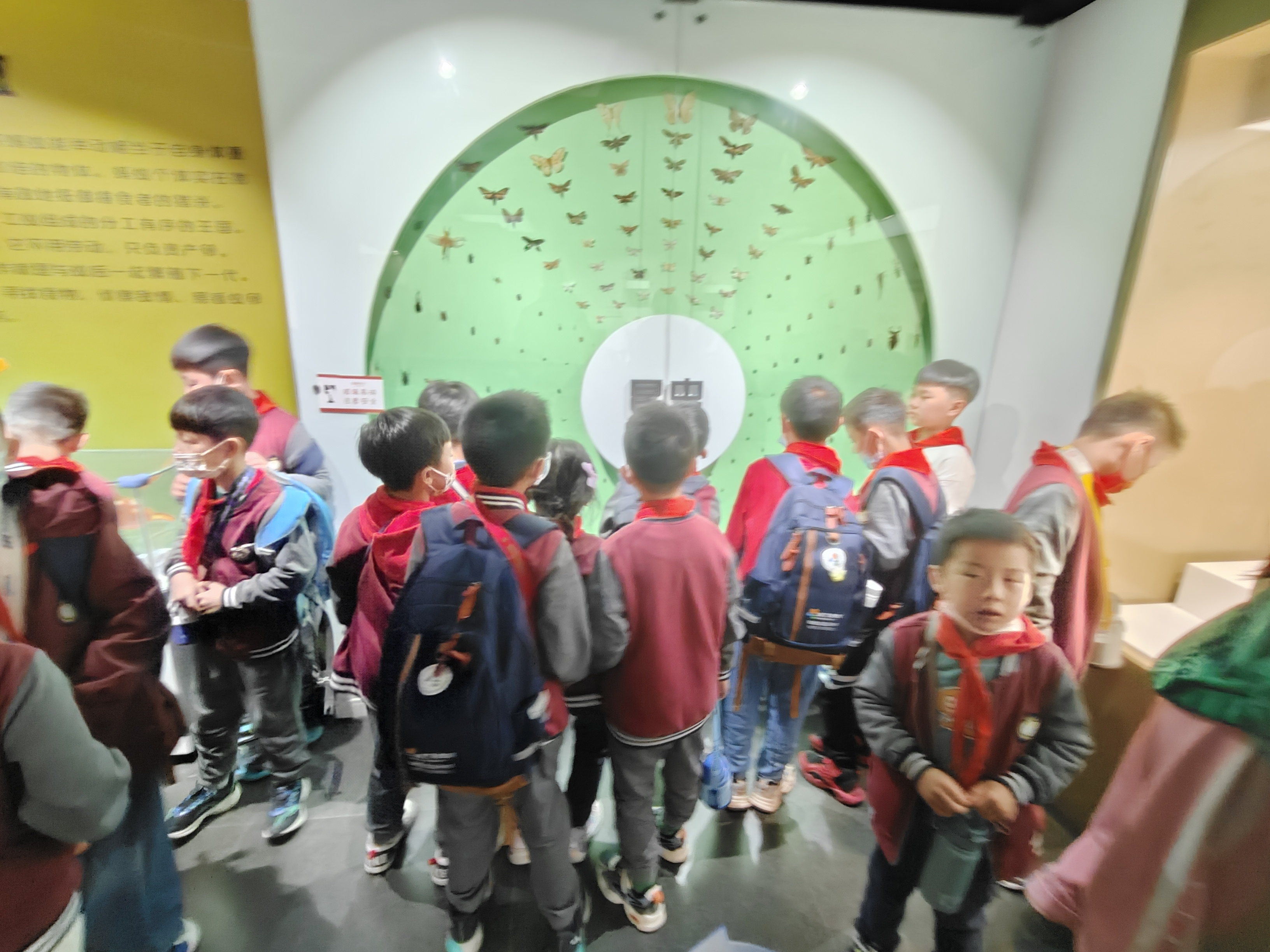 郑州小众文化艺术馆,郑州非遗展馆