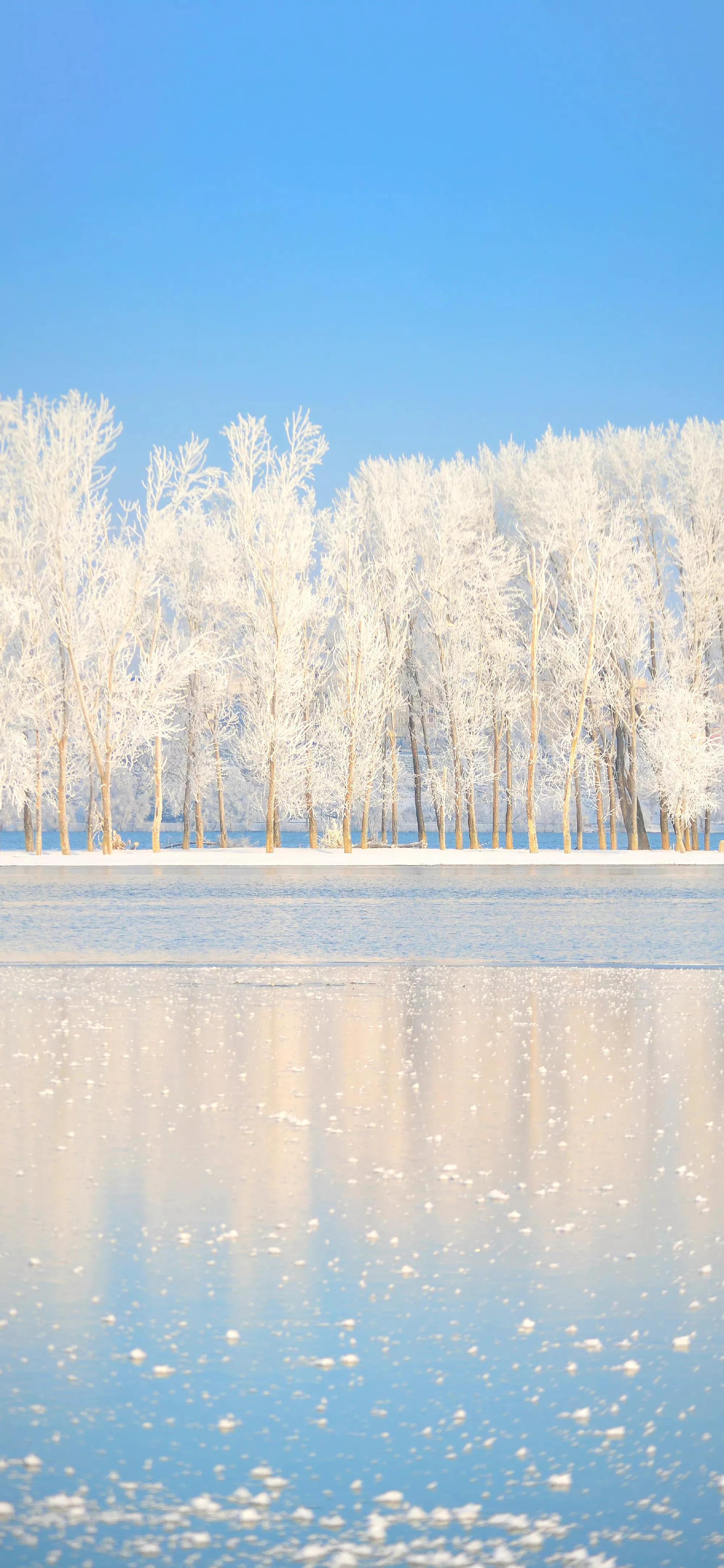 春天清新壁纸图片大全,手机壁纸春天风景超清