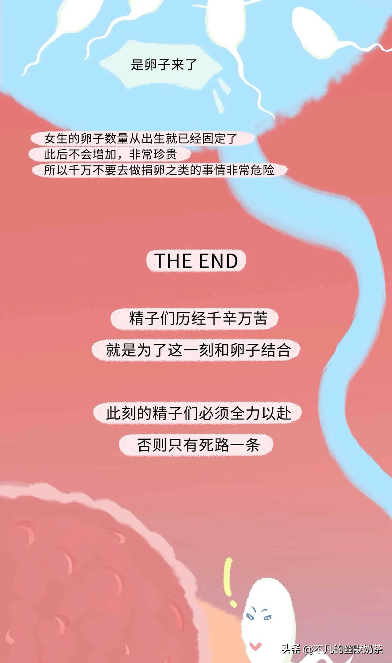 （漫画解说）精子进入女性体内的全过程，太神奇了！