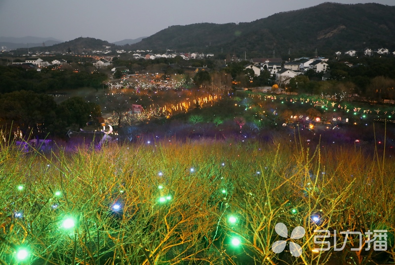 中国赏梅好去处苏州赏梅花,苏州十大赏梅胜地你去过几个