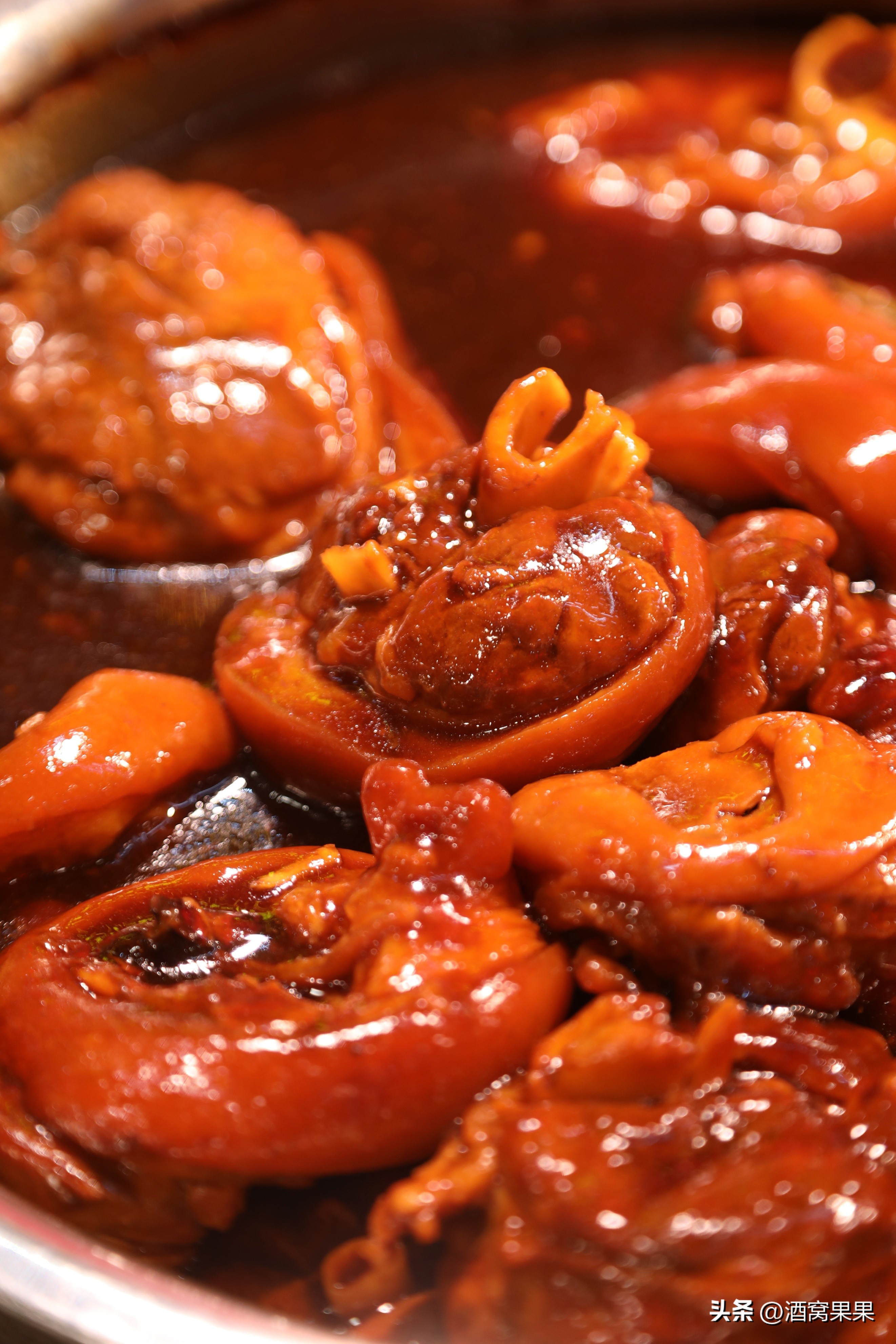 福鼎两天一夜旅游攻略,福鼎茶漫步茶园体验采茶之旅