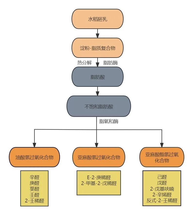 香喷喷的米饭属于什么领域,香喷喷米饭怎么煮