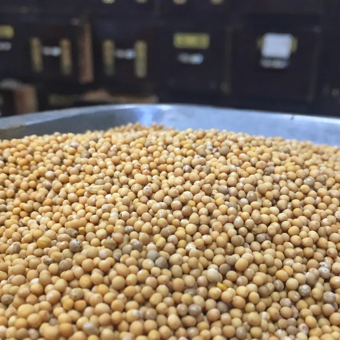 广安门医院消喘膏,消喘膏贴敷疗法