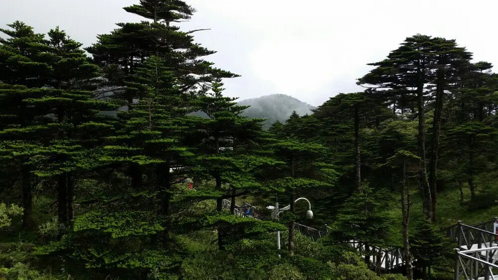 祝寿对联390副欣赏,祝寿对联图片大全七字