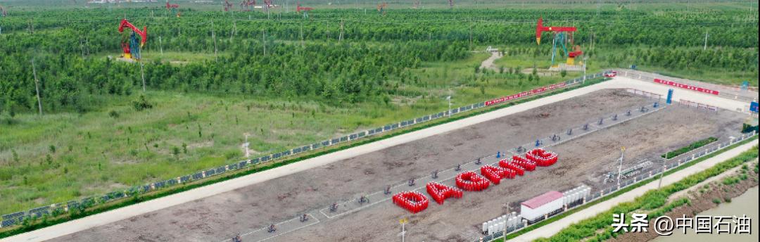 特别策划案例,特别策划系列