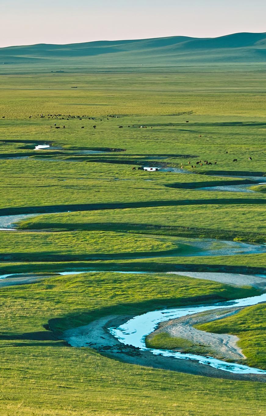 <html>
<head><title>502BadGateway</title></head>
<body>
<center><h1>502BadGateway</h1></center>
<hr><center>nginx</center>
</body>
</html>
<!--apaddingtodisableMSIEandChromefriendlyerrorpage-->
<!--apaddingtodisableMSIEandChromefriendlyerrorpage-->
<!--apaddingtodisableMSIEandChromefriendlyerrorpage-->
<!--apaddingtodisableMSIEandChromefriendlyerrorpage-->
<!--apaddingtodisableMSIEandChromefriendlyerrorpage-->
<!--apaddingtodisableMSIEandChromefriendlyerrorpage-->
