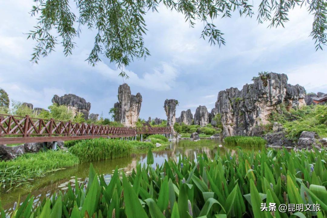 昆明一日游小众打卡景点冬天,小众的昆明周边度假景点