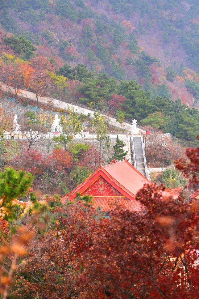 抓住秋天摘苹果,抓住秋天的尾巴赏红叶