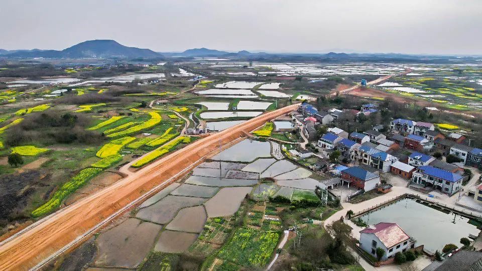 鄂州泽林镇新闻,鄂州泽林镇最新规划