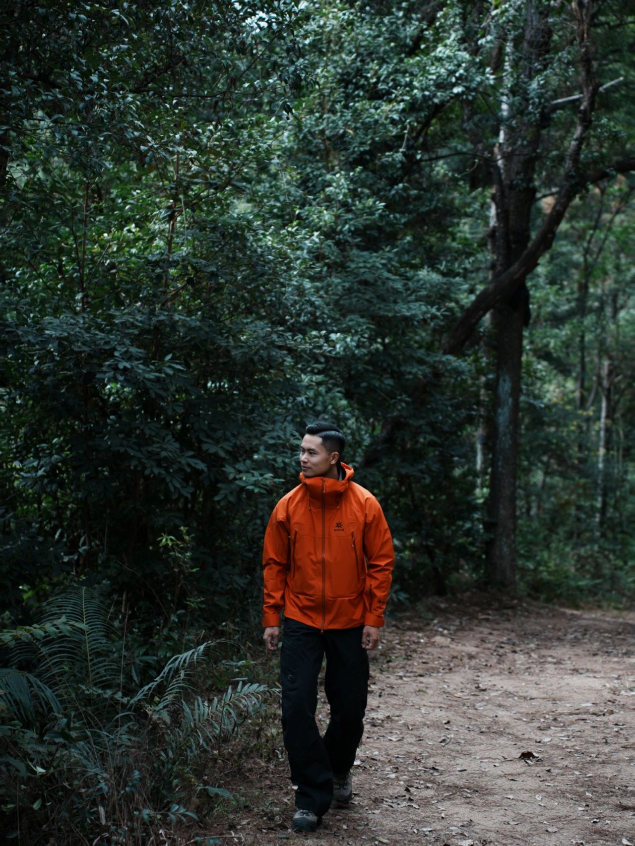 厦门森林公园免费景点,厦门森林旅游