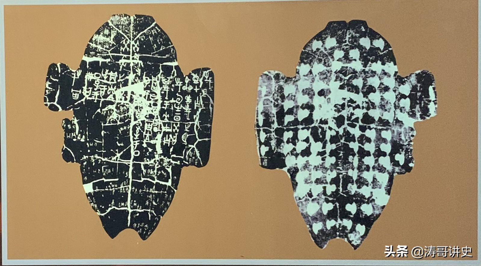 殷墟发现白人遗骨,殷墟遗址出土白人头骨