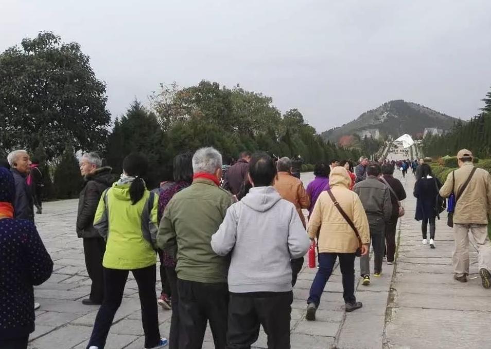 重阳节的习俗茱萸是什么,重阳节的习俗赏菊及佩戴茱萸