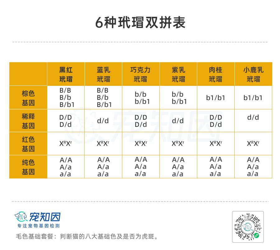 基因克隆最新突破,基因最新突破