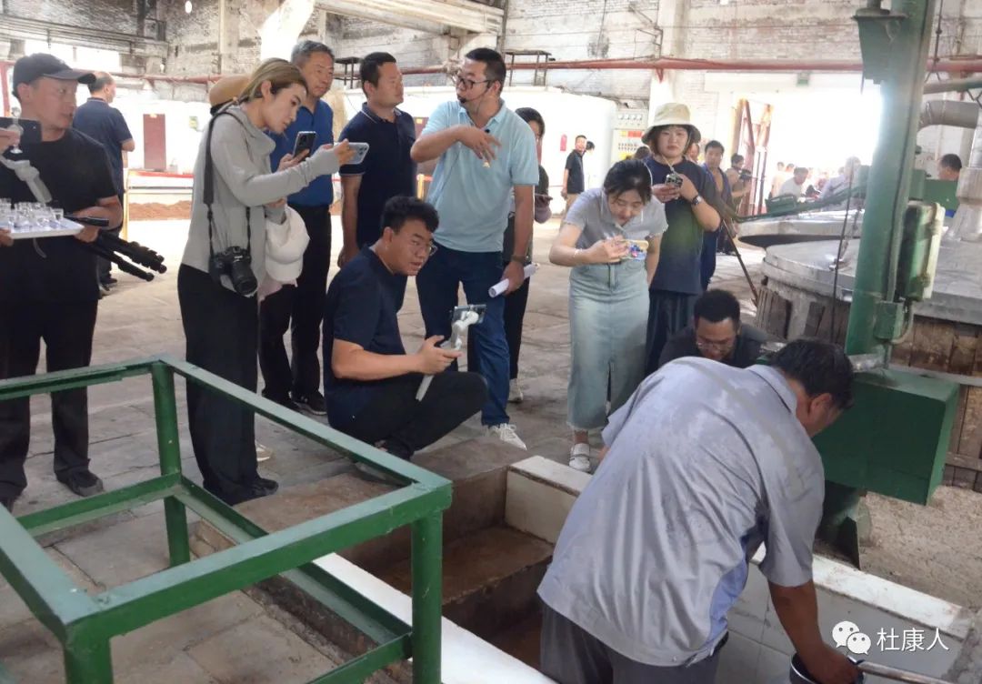 杜康参观,杜康酒厂参观