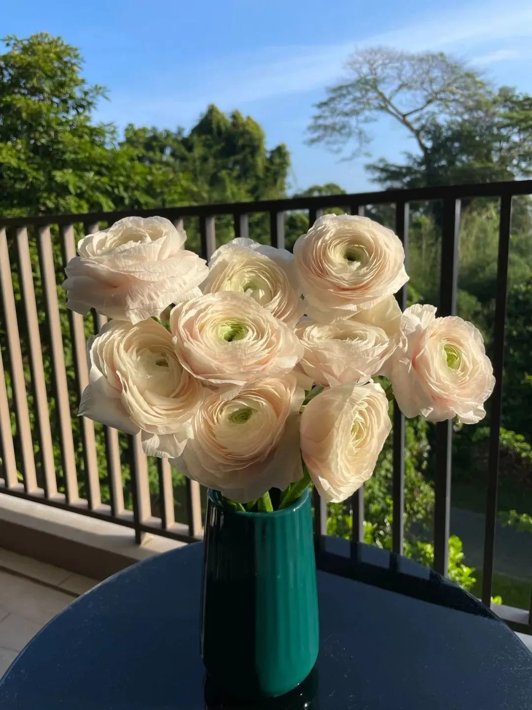 新手必看鲜花养护攻略,鲜花在水里能养几天会死