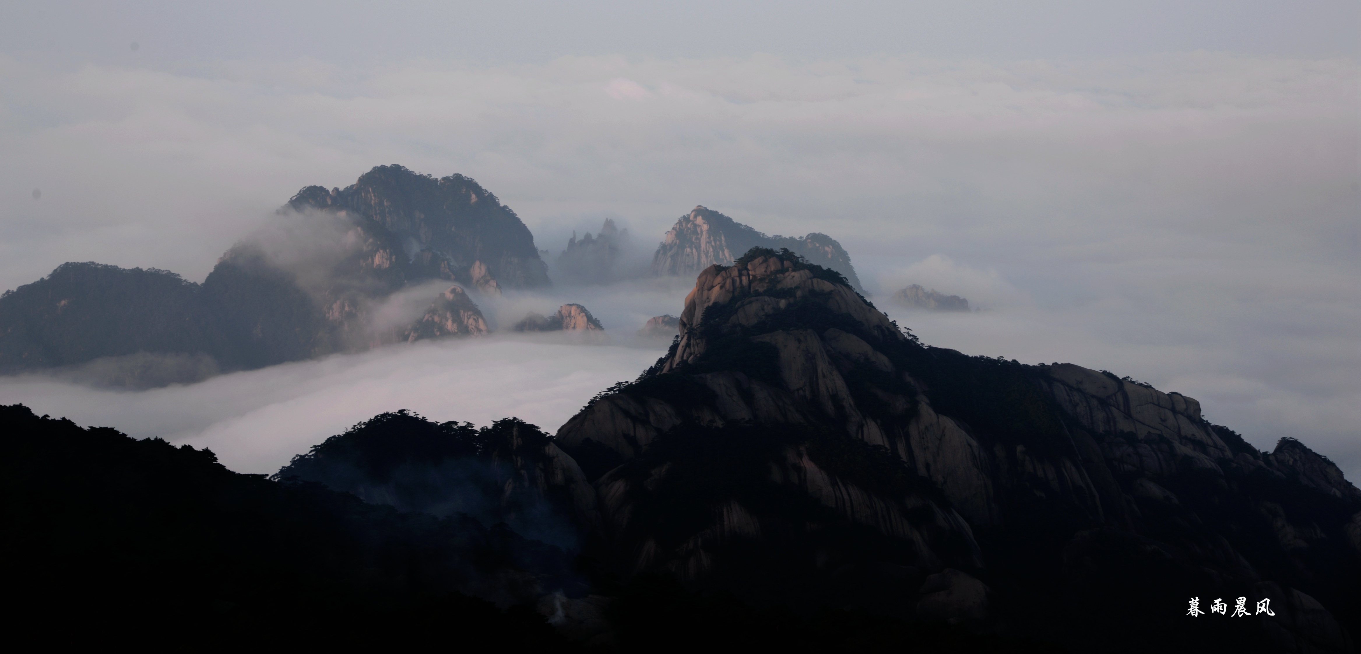 2014年黄山游,2014黄山银毫