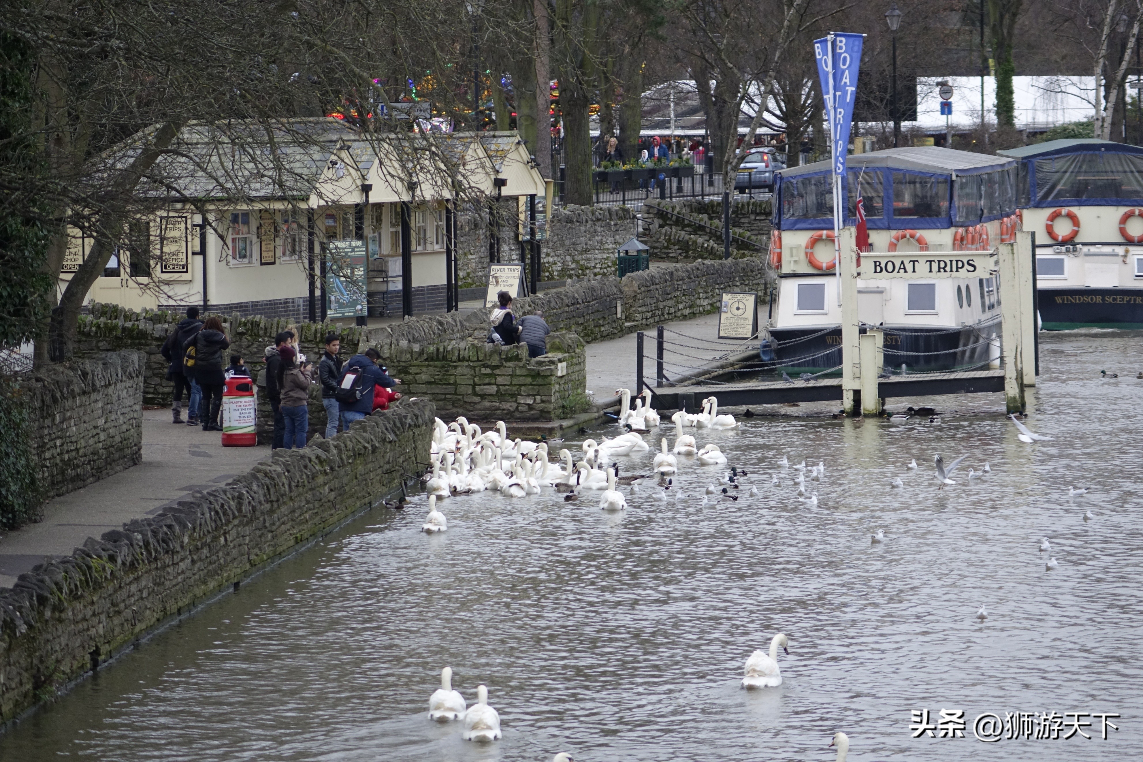 英国陪读是什么体验,英国陪读生活