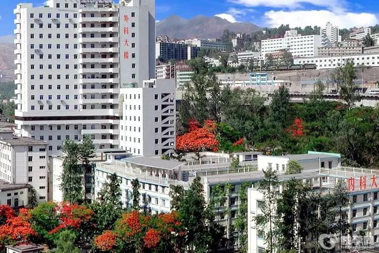 部队战区总医院权威性高吗,军医院最厉害的医院是哪个