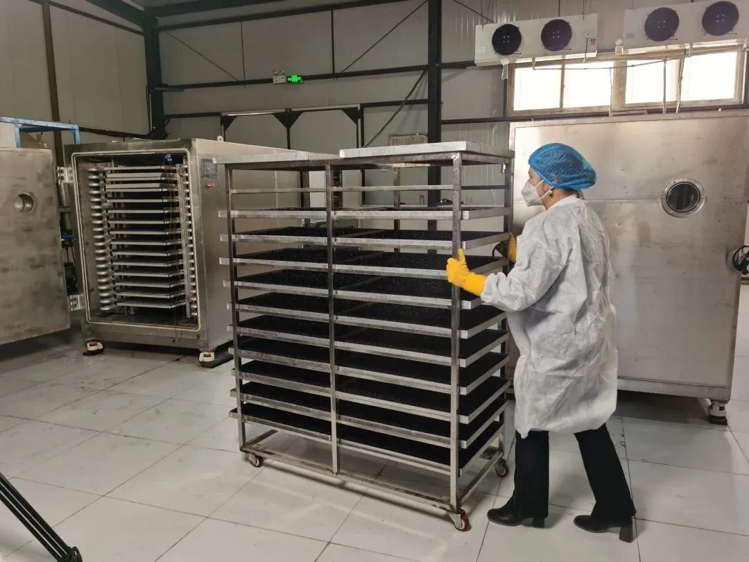 创新创业智能大赛,创新创业大赛智慧农业