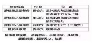 十二经络足阳明胃经穴位走向,胃部经络最易堵塞三个穴位