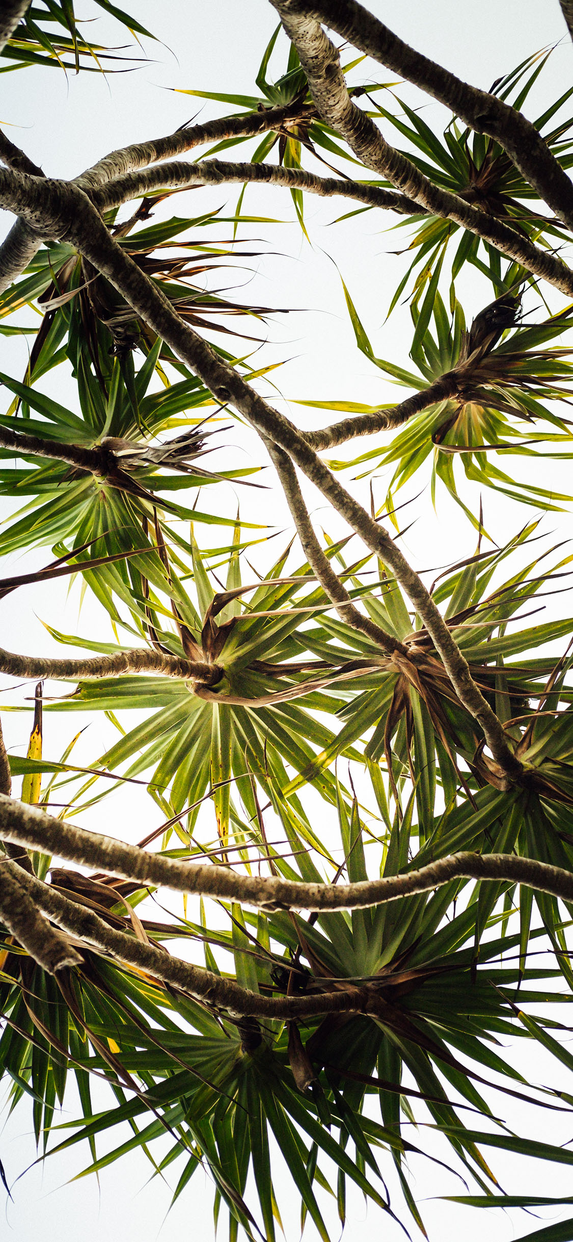 2023年手机壁纸,2023年最新款超清手机壁纸