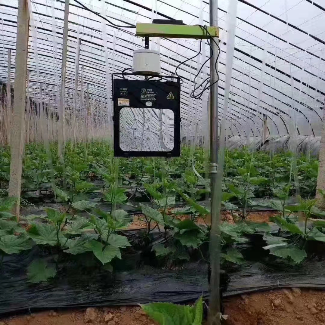 榆林芹菜罚款事件是怎么定性的,陕西榆林个体户卖5斤芹菜被罚